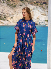 Amisha maxi dress, Frolic print